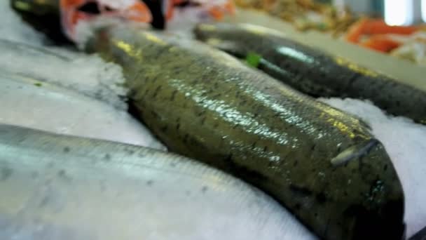 Marché aux poissons Pikes à Seattle — Video