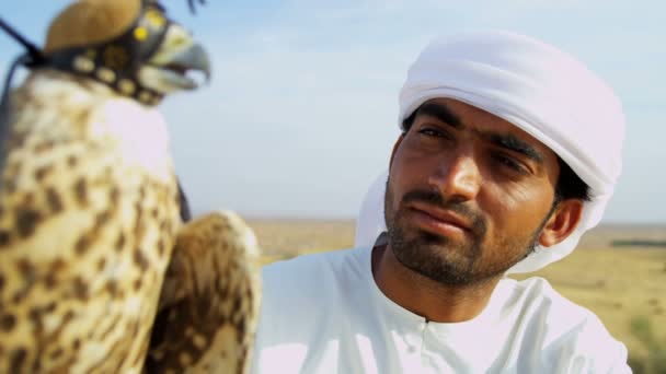 Arabische man met opgeleide falcon — Stockvideo