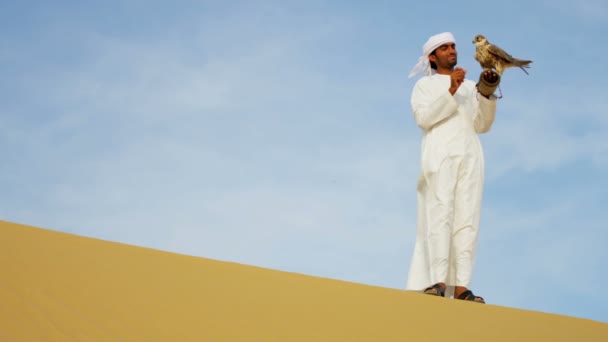 Arabische man met opgeleide falcon — Stockvideo