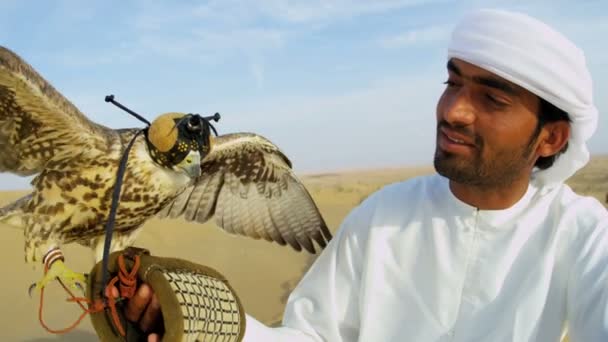 Arab man med utbildade falcon — Stockvideo