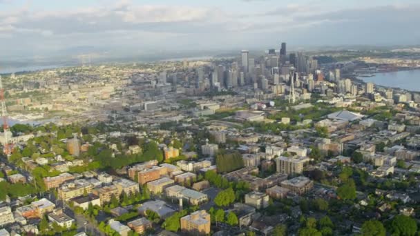 Downtown Seattle Finance Center — Stock Video