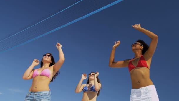 College vänner spela volleyboll på stranden — Stockvideo