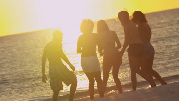 Jóvenes divirtiéndose en la playa — Vídeos de Stock