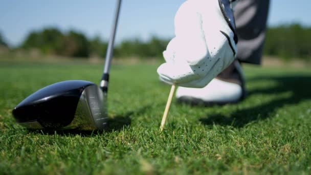 Golfista mettendo pallina da golf su tee — Video Stock