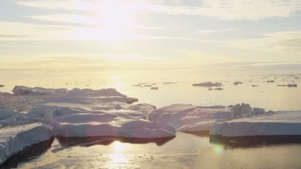 Gleccser jég floes lebeg a vízben — Stock videók