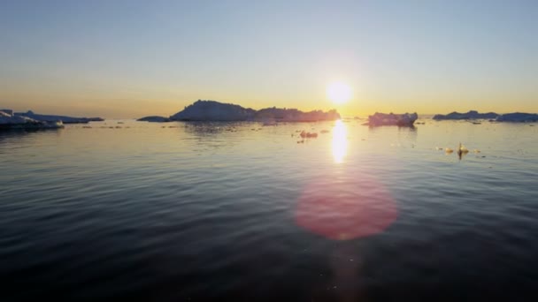 Gleccser jég floes lebeg a vízben, a naplemente — Stock videók