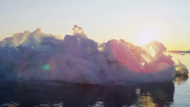 Gletschereisschollen, die bei Sonnenuntergang im Wasser treiben — Stockvideo