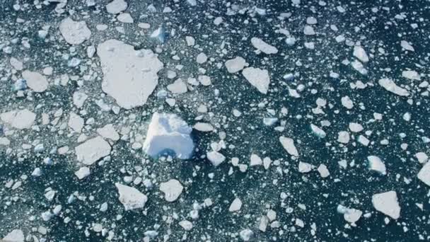 Glaciären isflak flyter i vatten — Stockvideo