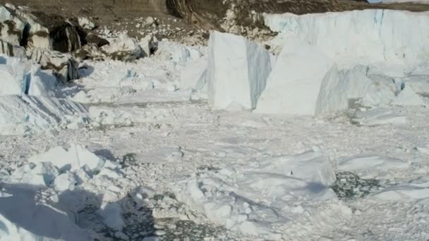 Groenlandia glaciar ártico témpanos de hielo — Vídeo de stock