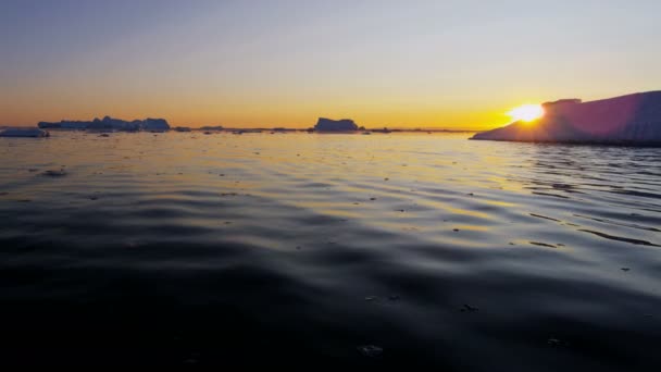 Glacier ice floes floating in water at sunset — Stock Video