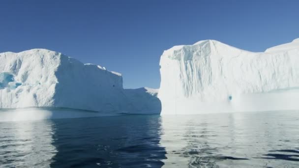 Enormi iceberg galleggianti in acqua — Video Stock