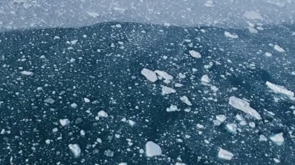 Glacier ice floes floating in water — Stock Video