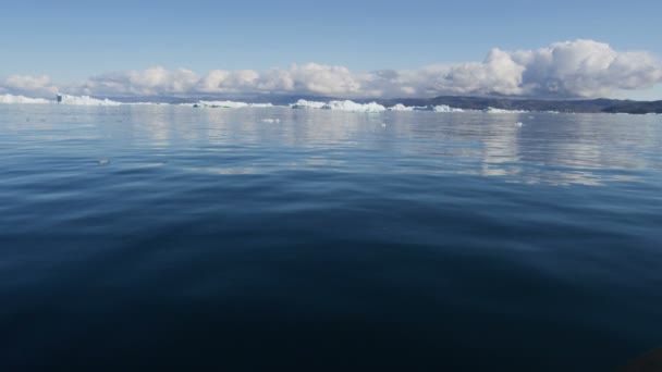 在水中漂浮的冰川冰浮冰 — 图库视频影像