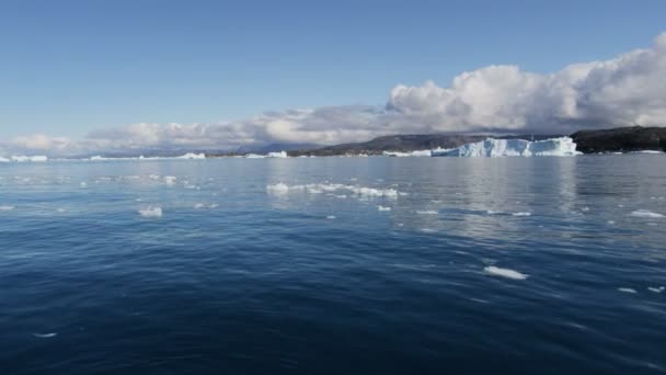 Buzul buzlar su içerisinde yüzen — Stok video