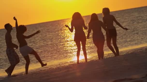 Jóvenes divirtiéndose en la playa — Vídeo de stock