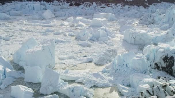 グリーンランドの氷河北極の流氷 — ストック動画