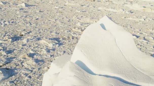 Glacier ice floes floating in water — Stock Video