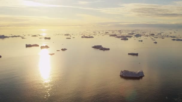 Glacier ice floes floating in water — Stock Video