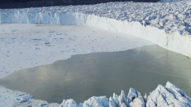 Grönlandgletscher arktische Eisschollen — Stockvideo