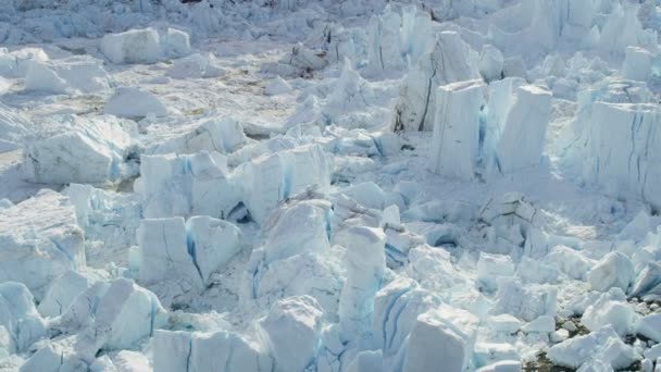 Grónské ledovce arktických ledových ker — Stock video