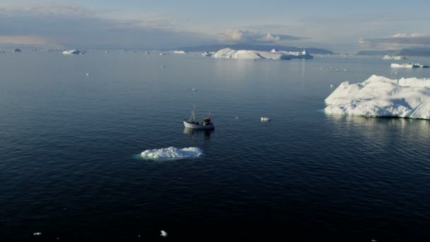 Gleccser jég floes lebeg a vízben — Stock videók