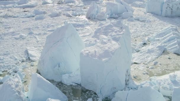 Grönlandgletscher arktische Eisschollen — Stockvideo