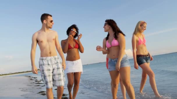 Les adolescents marchent sur la plage en vacances — Video