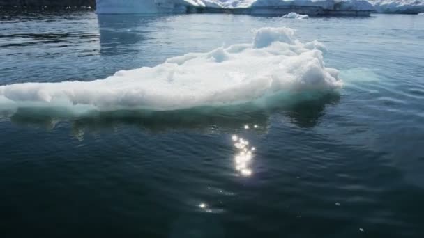 Ледниковые льды, плавающие в воде — стоковое видео