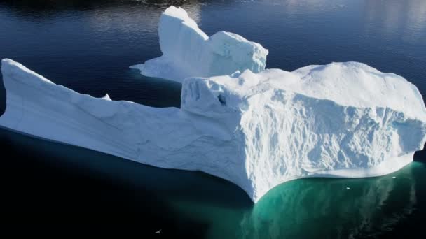 Gletschereisschollen treiben im Wasser — Stockvideo
