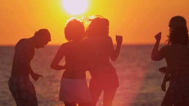 Tinerii se distrează pe plajă — Videoclip de stoc