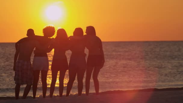 Les adolescents regardent le coucher du soleil sur la plage — Video