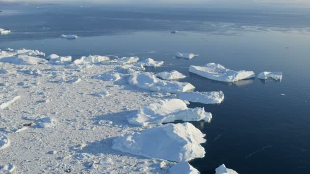 Témpanos glaciares flotando en el agua — Vídeo de stock