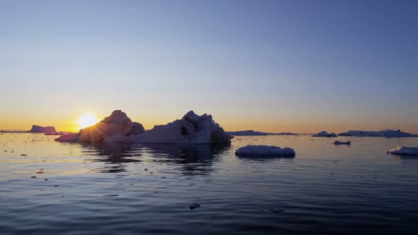 Gleccser jég floes lebeg a vízben, a naplemente — Stock videók