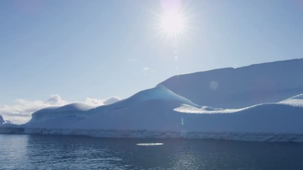 Glacier ice floes floating in water — Stock Video