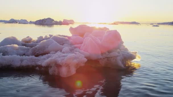 Ледниковые льды, плавающие в воде на закате — стоковое видео