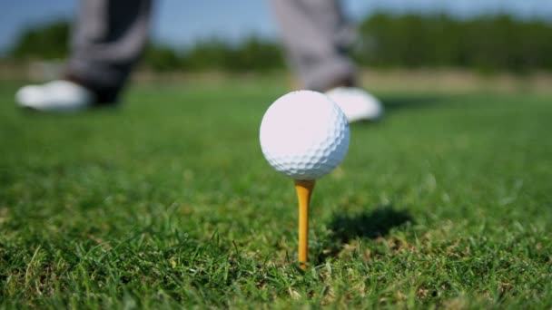 Golfista Prepararsi a Tee Off — Video Stock