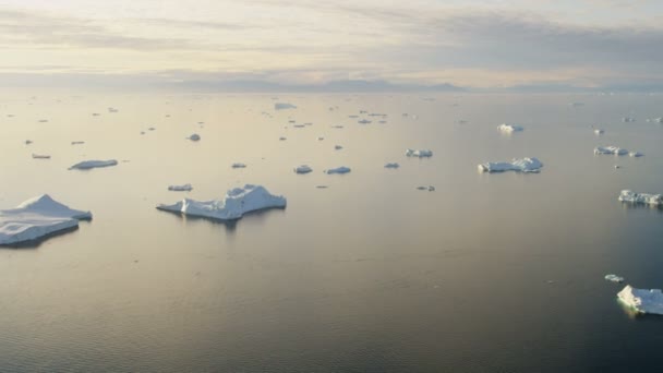 Témpanos glaciares flotando en el agua — Vídeo de stock