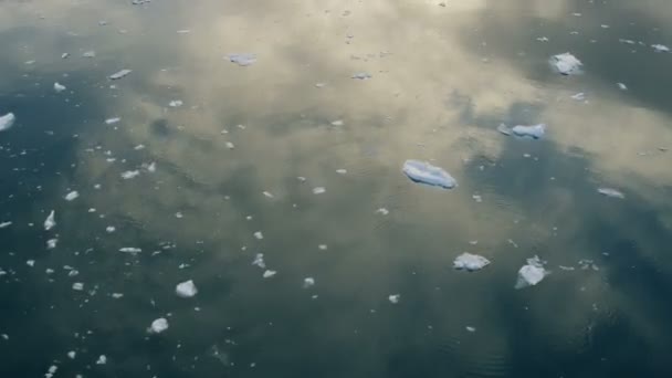 Glacier ice floes floating in water — Stock Video