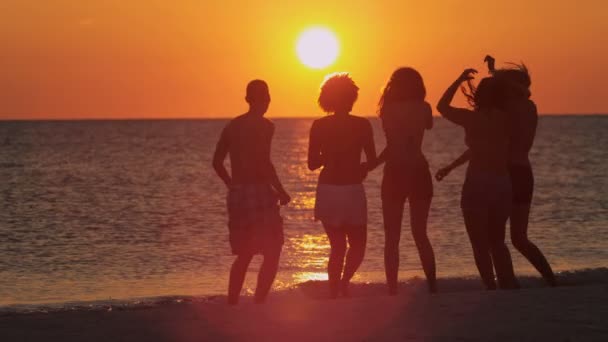 Молодые люди веселятся на пляже — стоковое видео