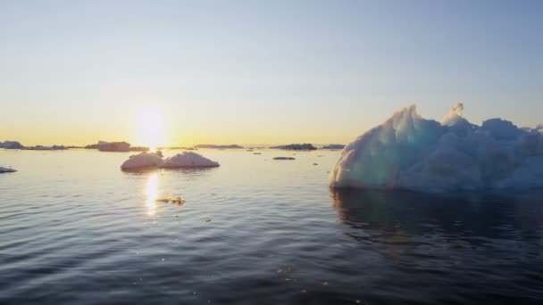 Gletschereisschollen, die bei Sonnenuntergang im Wasser treiben — Stockvideo