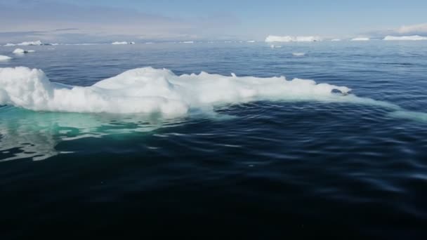 Glacier ice floes floating in water — Stock Video