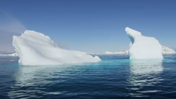 물에 떠 있는 빙하 얼음 floes — 비디오