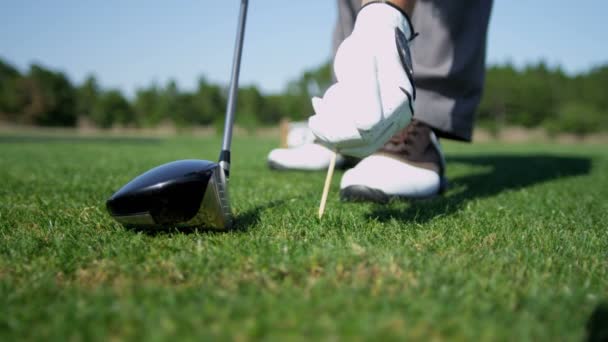 Golfista mettendo pallina da golf su tee — Video Stock