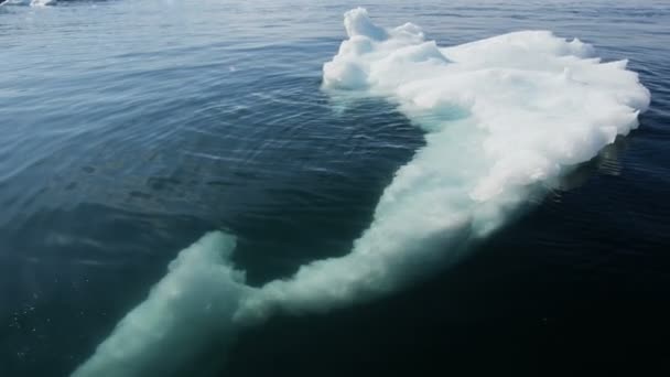 Gletschereisschollen treiben im Wasser — Stockvideo