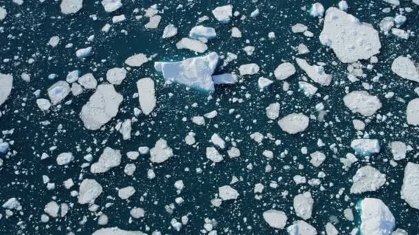 Gleccser jég floes lebeg a vízben — Stock videók