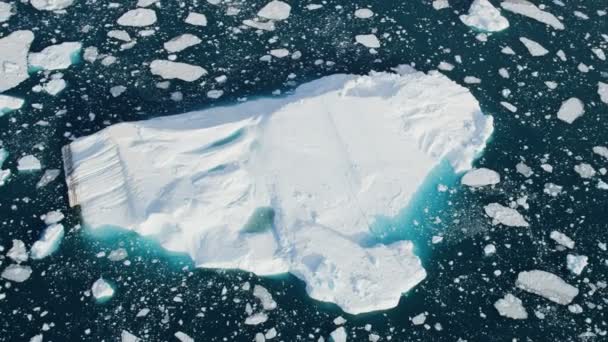 Glacier ice floes floating in water — Stock Video