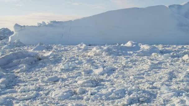 Groenland gletsjer arctic ice floes — Stockvideo