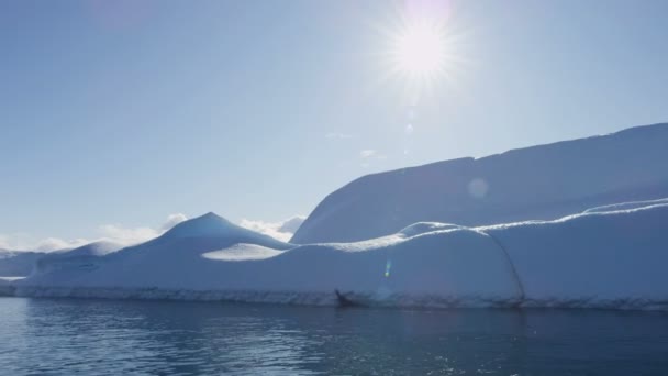 Gleccser jég floes lebeg a vízben — Stock videók