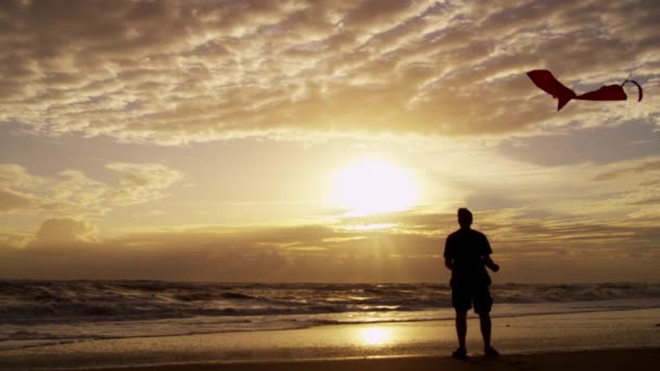 Silhouette masculine avec cerf-volant volant — Video