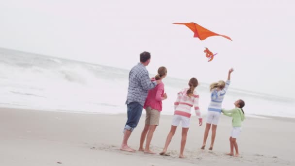 Семья веселится с воздушным змеем на пляже — стоковое видео